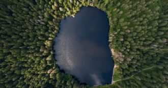 Artists for Plants: quando l’arte incontra la natura per un futuro sostenibile