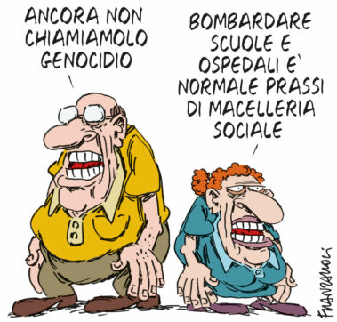 Copertina di La vignetta di Franzaroli