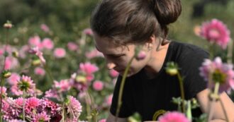 Copertina di Non solo cibo, anche i fiori possono essere biologici: ecco dove comprarli e come curarli