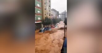 Copertina di Alluvione in Spagna, le immagini del disastro a Valencia: fiumi di acqua e fango trascinano tutto