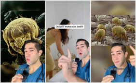 Copertina di “Non devi rifare il letto la mattina. Un cuscino vecchio di due anni? Il 10% del suo peso sono acari della polvere e la loro cac*a”: l’avvertimento del dr. Myro Figura