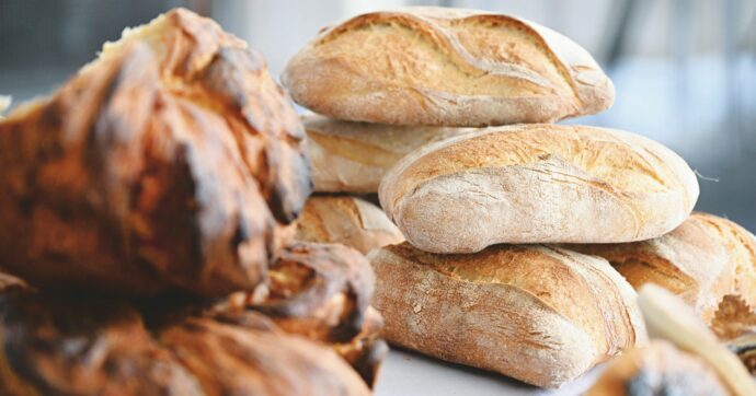 Copertina di Bianco, a fette o lisergico: storia del pane, ieri e oggi