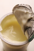 Copertina di Fa male leccare il coperchietto dello yogurt? La risposta agli esperti
