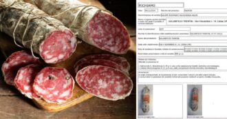 Copertina di Allarme salmonella e listeria nel salame nostrano Trentin: ecco i lotti ritirati dal mercato per rischio contaminazione