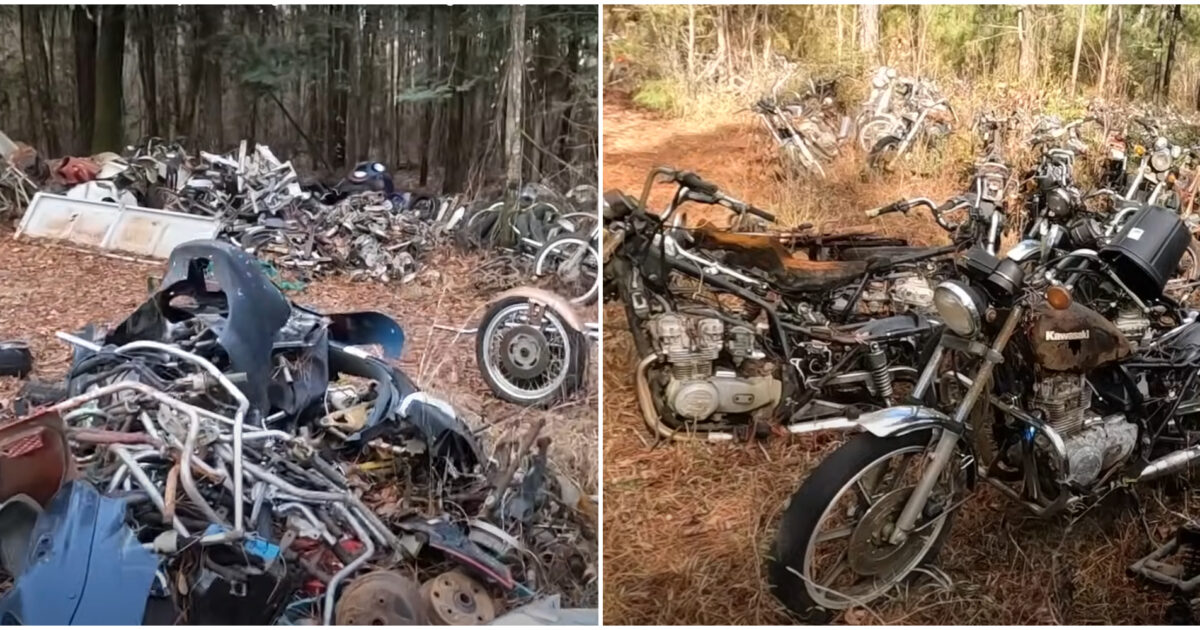 Oltre 4mila moto abbandonate sono state ritrovate in un bosco: la scoperta in un video virale su YouTube