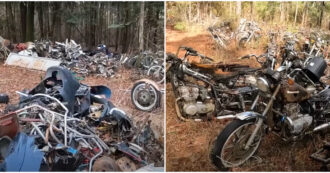 Copertina di Oltre 4mila moto abbandonate sono state ritrovate in un bosco: la scoperta in un video virale su YouTube