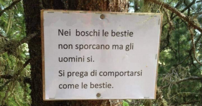 L’ambientalismo non è un’ideologia: semplicemente, vanno allargati gli orizzonti