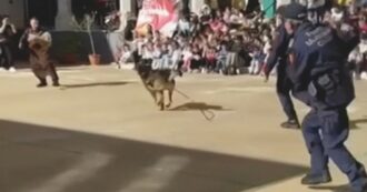 Copertina di Palermo, i vigili simulano l’arresto e sparano a scuola