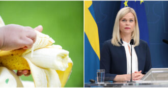 Copertina di “Non voglio quelle banane. Mettetele lontane da me!”: la fobia di Paulina Brandberg, ministro per l’uguaglianza di genere della Svezia