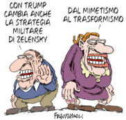 Copertina di La vignetta di Franzaroli