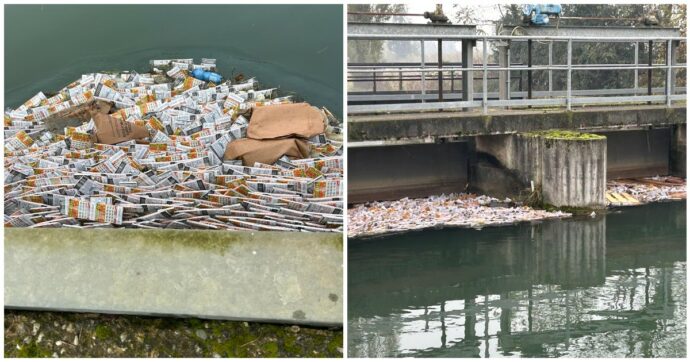 Copertina di Migliaia di ‘Gratta e Vinci’ galleggiano nel canale: “Non prendeteli, è reato”. Ecco come ci sono finiti