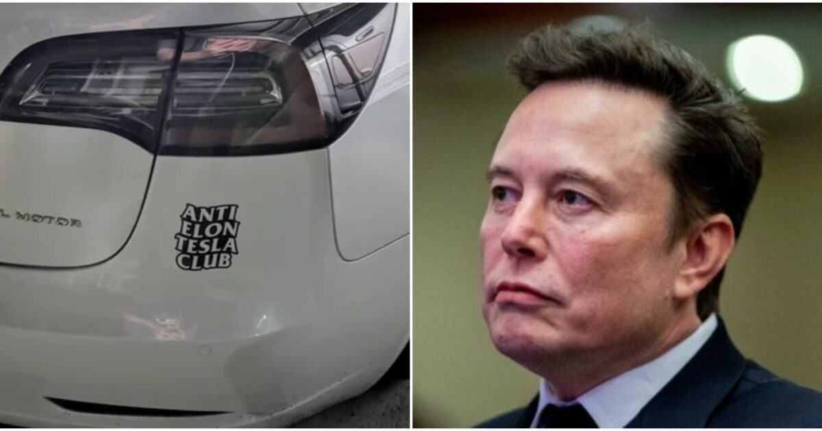 “L’ho comprata prima di sapere che fosse pazzo”: spopolano gli adesivi contro Elon Musk da incollare sulle Tesla. Boom di vendite dopo le elezioni