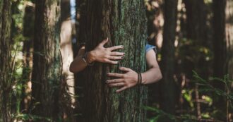 Copertina di Le piante ci salveranno, ma non solo. La docente Alessandra Viola: “Ci aiutano a combattere la solitudine e a essere felici”