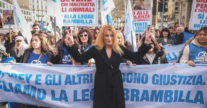 Copertina di  Legge  animalista: Brambilla manda  in panne i deputati