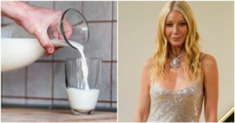 Copertina di Il latte crudo è l’ultima ossessione di Gwyneth Paltrow e altre celebrities, ma scatta l’allarme aviaria: “E’ contaminato, non bevetelo”. Ecco cosa sta succedendo