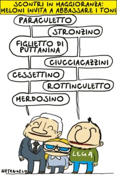 Copertina di La vignetta di Natangelo