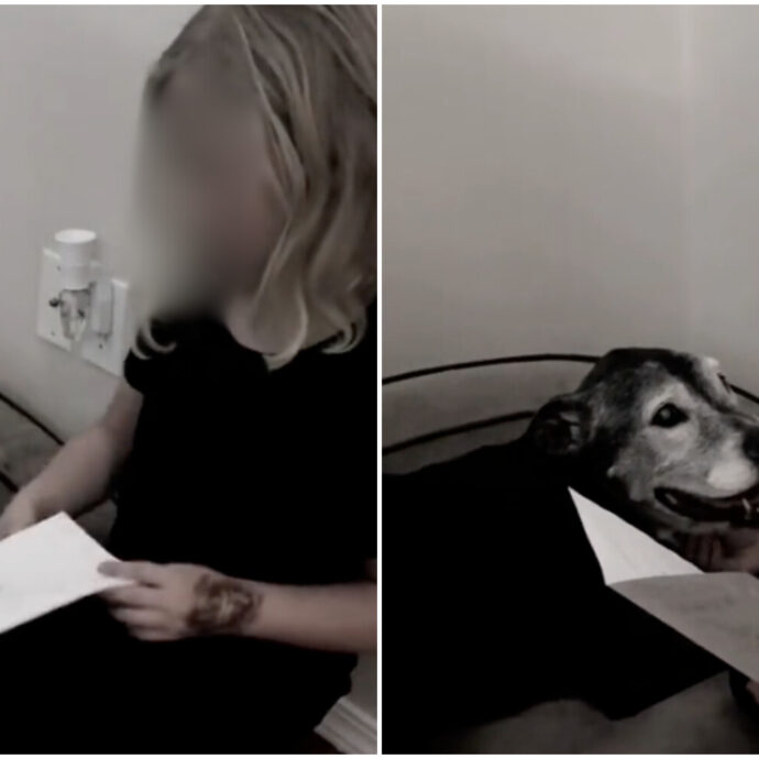 La lettera d’addio di una bimba di 9 anni al suo cane: “Ti amavo quando eri qui e continuerò ad amarti ora che non ci sei più” – Il video virale