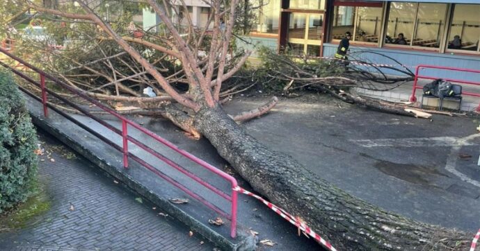 Salerno, cade un pino in ateneo: tre feriti