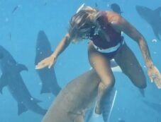 Copertina di Influencer fa il bagno alle Maldive, uno squalo la morde mentre lei riprende tutto: il video da milioni di views