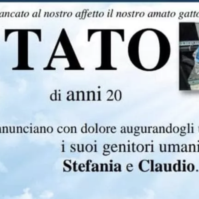 No al manifesto funebre per il gatto morto: il Comune blocca l’iniziativa per “ragioni amministrative”. I proprietari del micio aggirano l’ostacolo