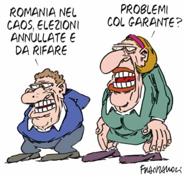 Copertina di La vignetta di Franzaroli