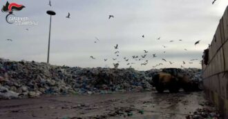 Copertina di Gestione illecita di rifiuti e scarico abusivo di reflui industriali: sequestrato un impianto a Caivano – Video