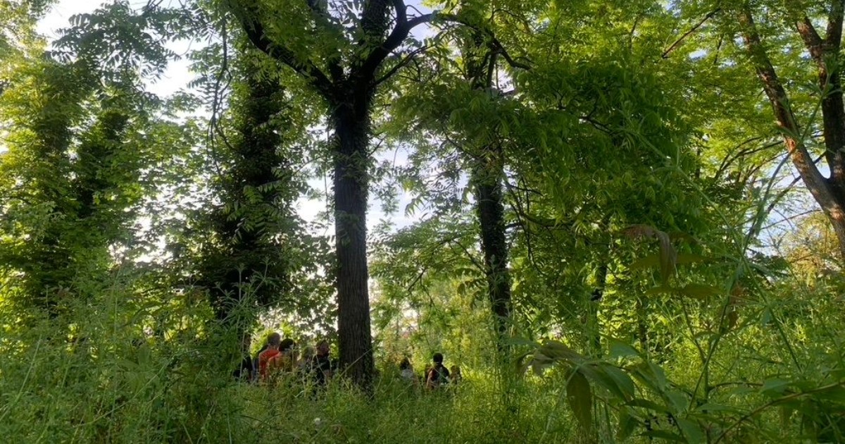 Stuprata nei boschi di Rieti, arrestato un 22enne. La vittima colpita con l’impugnatura di un machete