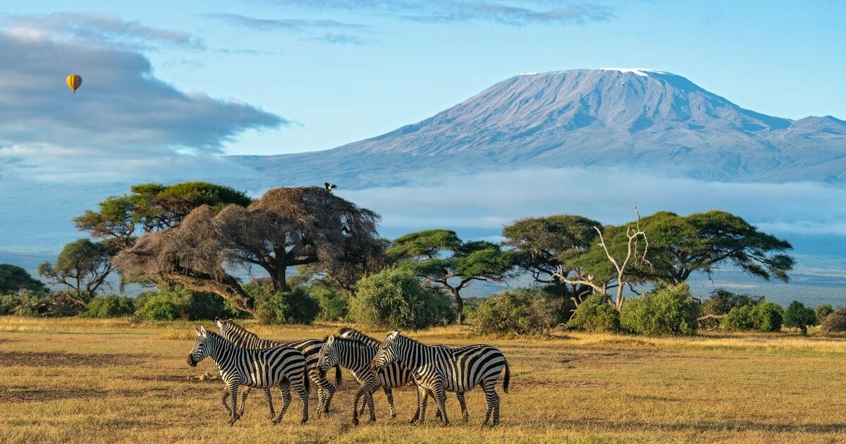 Kenya, un sogno tropicale nel cuore dell’equatore