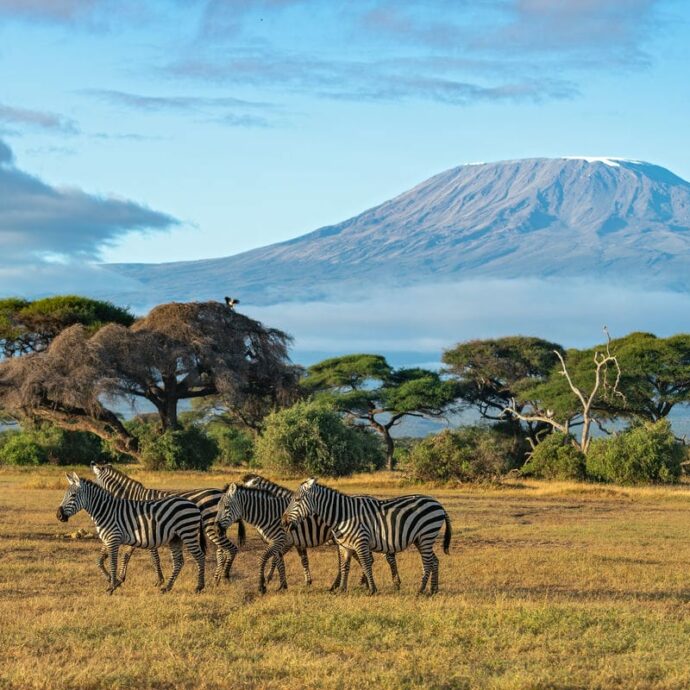 Kenya, un sogno tropicale nel cuore dell’equatore