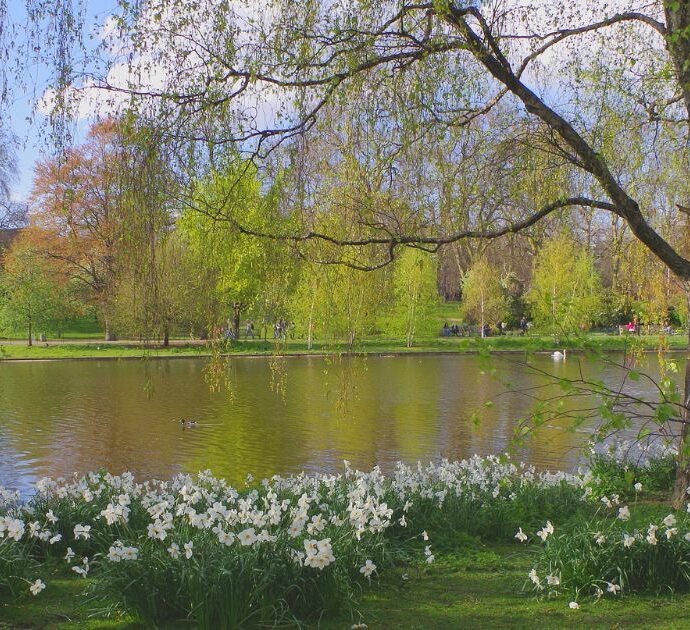 Folgorata da una scossa elettrica mentre si appoggia alla grata del parco: turista 21enne viva per miracolo. “Era in arresto cardiaco, ha perso la memoria”