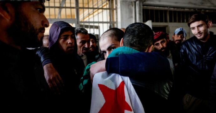 “Un bimbo non sa cosa sia un albero”