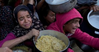 Copertina di Ho davvero paura di morire di fame, la farina qui vale oro