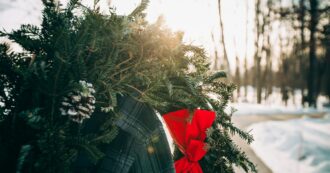 Copertina di Panettone, spumante, alberi e Re Magi: un Natale da smaltire. Ecco le regole da seguire per differenziare in maniera corretta