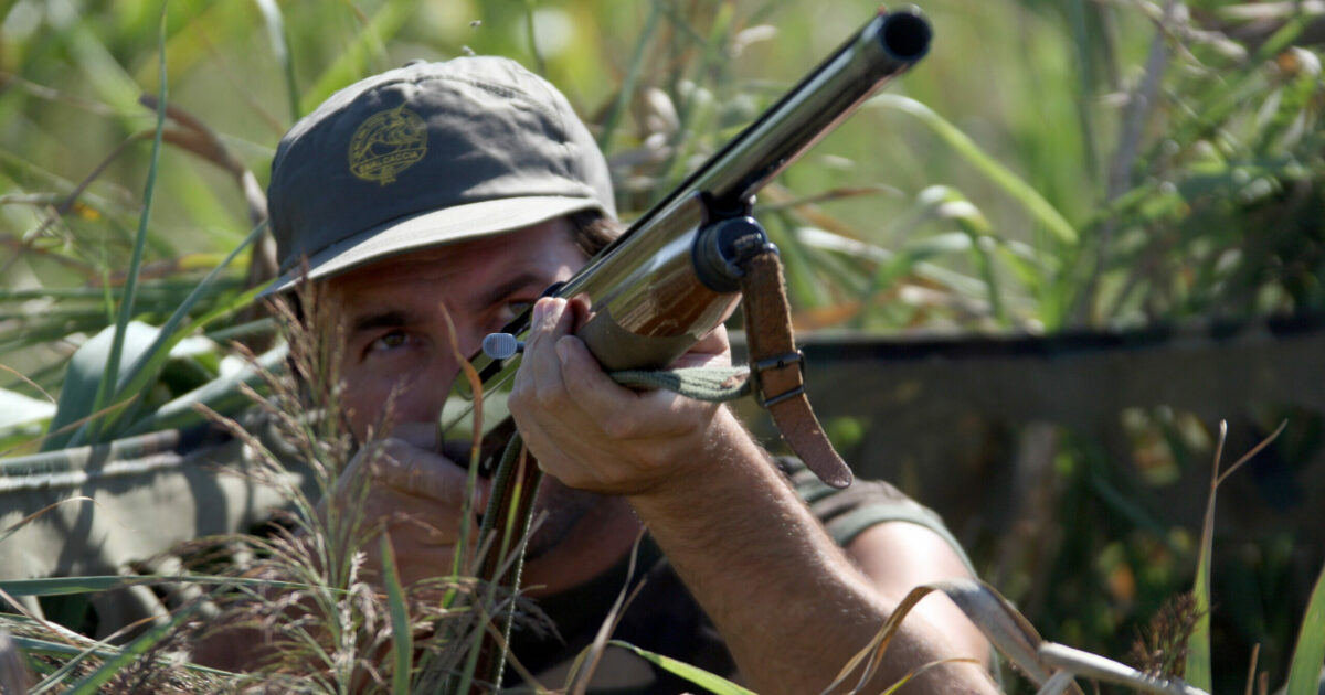 Caccia vietata intorno a 475 valichi lombardi: un autunno meno minato per gli uccelli migratori Caccia vietata intorno a 475 valichi lombardi: un autunno meno minato per gli uccelli migratori