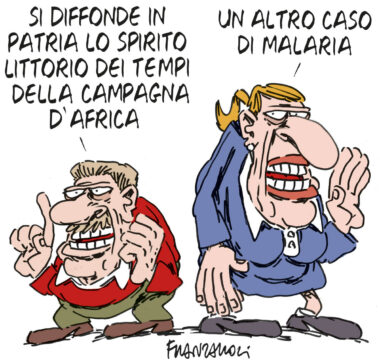 Copertina di La vignetta di Franzaroli