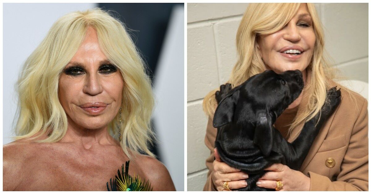 Donatella Versace, le nuove foto al canile confermano l’incredibile trasformazione: “E’ il più grande upgrade della storia”