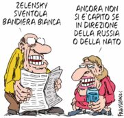 Copertina di La vignetta di Franzaroli