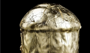 Copertina di Il panettone più costoso d’Italia? Costa 900 euro ed è condito con lamine d’oro e cristalli Swarovski