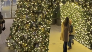 Copertina di Lui sta per inginocchiarsi e fare la proposta di matrimonio ma arriva un ospite e blocca tutto: “Ma è un ospite pagato?”