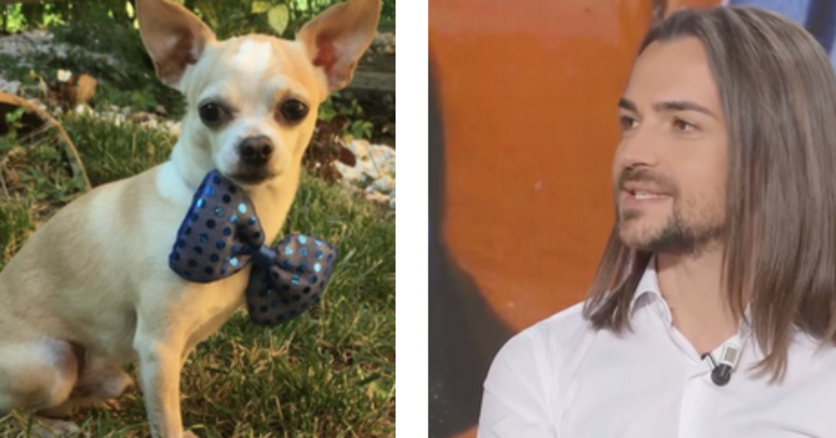 Valerio Scanu fa il funerale al cane con una nota agenzia: “Grazie per la vostra umanità. Dopo l’ultimo saluto pet therapy con le donzelle”