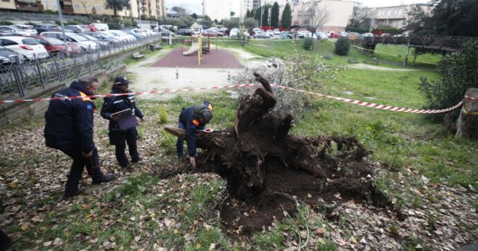 Roma, cade un albero per il vento: morta una 45enne, grave un’altra donna. I residenti: “Sono mancati i controlli chiesti più volte”