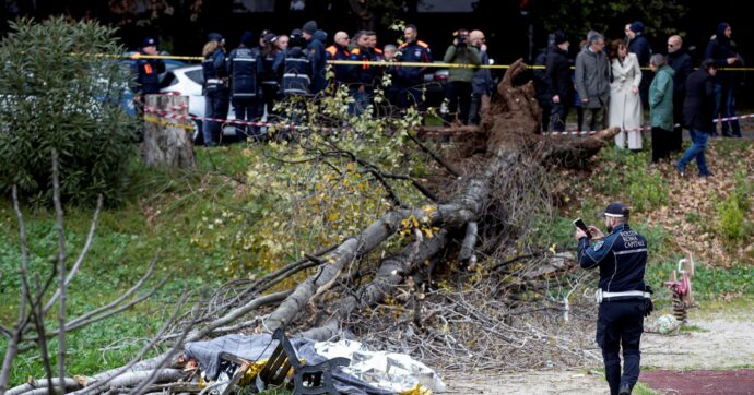 Copertina di Cade l’albero, muore una donna di 45 anni “Radici tagliate anni fa”: centinaia i casi simili