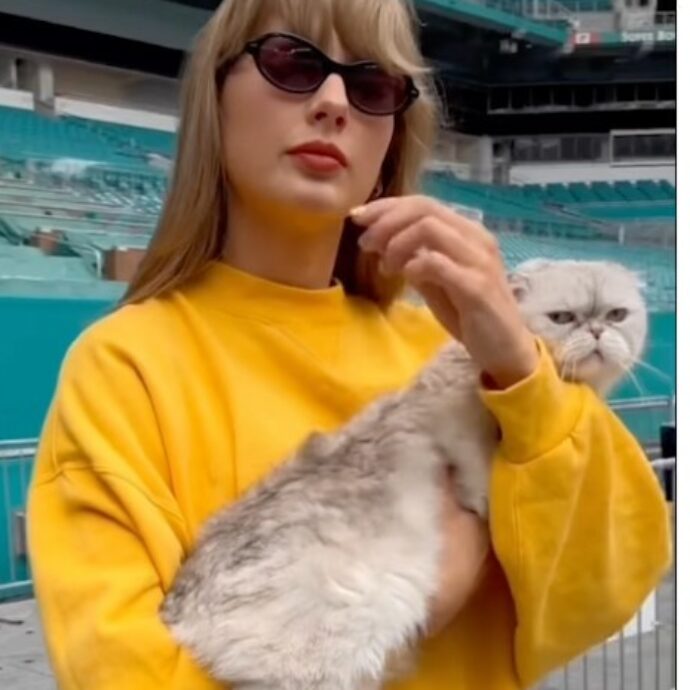 “Questi gatti vivono una vita di sofferenze atroci che li portano alla paralisi”: addio agli Scottish Fold, la razza amata da Taylor Swift e Ed Sheeran