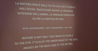 Copertina di Esistono immagini ‘impresse oltre la nostra retina’? La mostra di Munch mi ha fatto venire un’idea