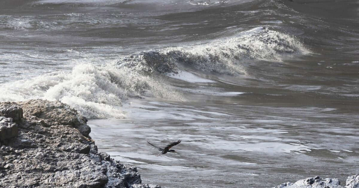 “Era come in una lavatrice, veniva sbattuta continuamente”: nonna travolta delle onde e trascinata in mare mentre camminava su una spiaggia in Messico