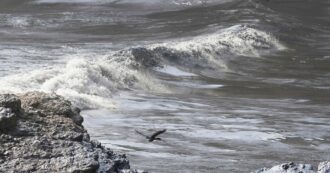 Copertina di Giappone, tsunami di 80 centimetri dopo terremoto di magnitudo 7.4. Appello della premier: “Evacuate verso aree sicure”