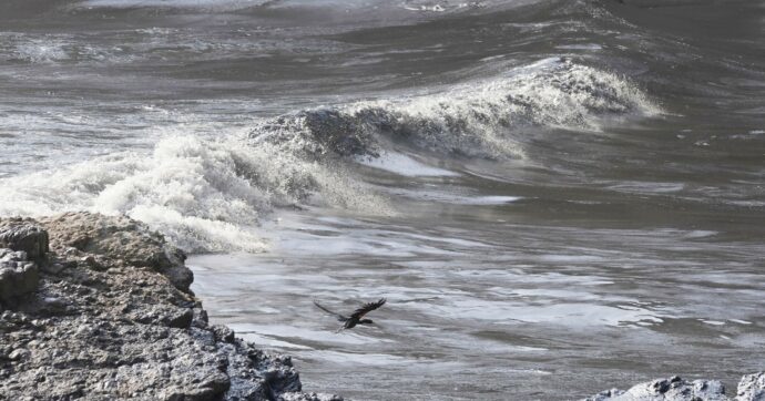 Terremoto di magnitudo 6.7 in Giappone, scatta l’allerta tsunami: “Epicentro del sisma a 10 chilometri di profondità nel mare”