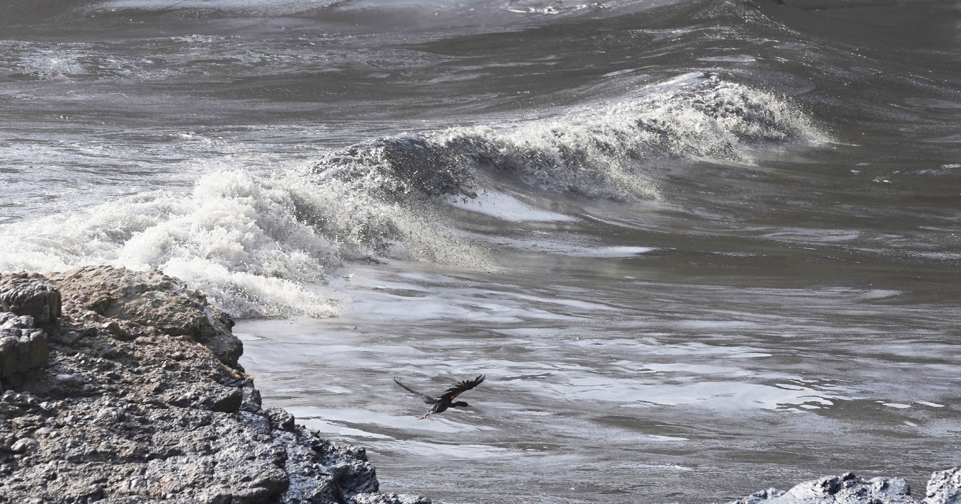 terremoto di magnitudo 67 in giappone scatta l8217allerta tsunami epicentro del sisma a 10 chilometri di profondit224 nel mare da Ilfattoquotidiano.it terremoto di magnitudo 67 in giappone scatta l8217allerta tsunami epicentro del sisma a 10 chilometri di profondit224 nel mare