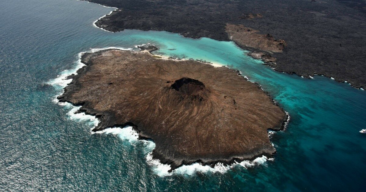 L’Ecuador autorizza una base militare Usa nelle Galápagos, le proteste: “La riserva naturale rischia di essere devastata”