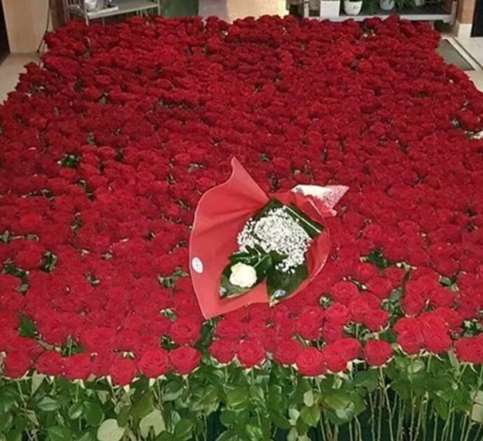 Un innamorato manda 2025 rose rosse alla compagna: il romantico gesto per festeggiare il nuovo anno. Ma l’identità dei due resta “top secret”